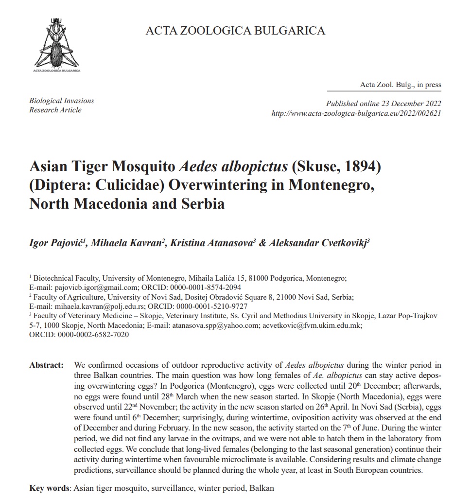 Asian Tiger Mosquito